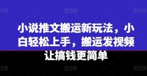 小说推文搬运新玩法，小白轻松上手，搬运发视频让搞钱更简单-琴书聊项目