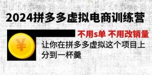 2024拼多多虚拟电商训练营 不用s单 不用改销量 在拼多多虚拟上分到一杯羹-琴书聊项目