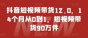 抖音短视频带货12.0，14个月从0到1，短视频带货90万件-琴书聊项目