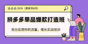 2024拼多多单品爆款打造班，充分应用你的流量，增长实战培训(更新6月)-琴书聊项目