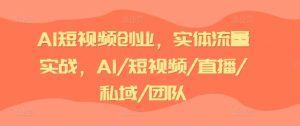 AI短视频创业，实体流量实战，AI/短视频/直播/私域/团队-琴书聊项目