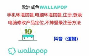 wallapop整套详细闭环流程：最稳定封号率低的一个操作账号的办法-琴书聊项目