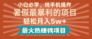 2024暑假最赚钱的项目，简单无脑操作，每单利润最少500+，轻松月入5万+-琴书聊项目