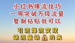 小红书爆流技巧，一周突破万级流量，复制粘贴就可以，引流爆流变现【揭秘】-琴书聊项目