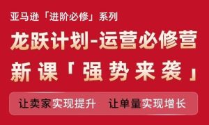 亚马逊进阶必修系列，龙跃计划-运营必修营新课，让卖家实现提升 让单量实现增长-琴书聊项目