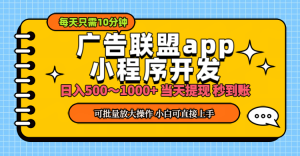 （11645期）小程序开发 广告赚钱 日入500~1000+ 小白轻松上手！-琴书聊项目