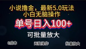 （11651期）全自动小说撸金，单号日入100+小白轻松上手，无脑操作-琴书聊项目