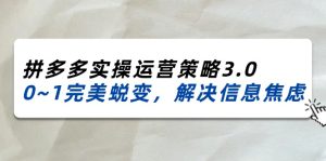 （11658期）2024_2025拼多多实操运营策略3.0，0~1完美蜕变，解决信息焦虑（38节）-琴书聊项目