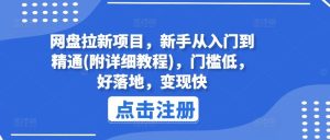 网盘拉新项目，新手从入门到精通(附详细教程)，门槛低，好落地，变现快-琴书聊项目