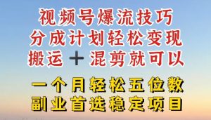 视频号爆流技巧,分成计划轻松变现,搬运 +混剪就可以,一个月轻松五位数稳定项目【揭秘】-琴书聊项目