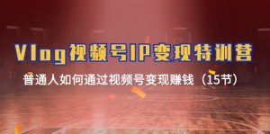 Vlog视频号IP变现特训营，普通人如何通过视频号变现赚钱（15节）-琴书聊项目