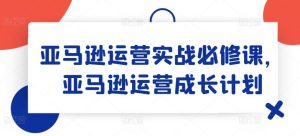 亚马逊运营实战必修课，亚马逊运营成长计划-琴书聊项目
