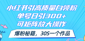 （11692期）小红书引高质量白领粉，单号日引300+，可放大操作，爆粉秘籍！30s一个作品-琴书聊项目