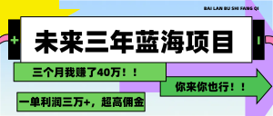 （11716期）未来三年，蓝海赛道，月入3万+-琴书聊项目