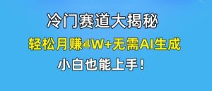 冷门赛道大揭秘，轻松月赚1W+无需AI生成，小白也能上手【揭秘】-琴书聊项目