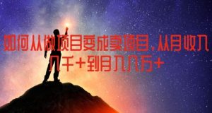 如何从做项目变成卖项目，从月收入几千到月入几万【揭秘】-琴书聊项目