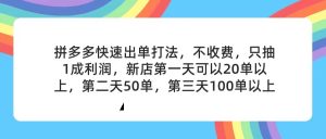 （11681期）拼多多2天起店，只合作不卖课不收费，上架产品无偿对接，只需要你回…-琴书聊项目