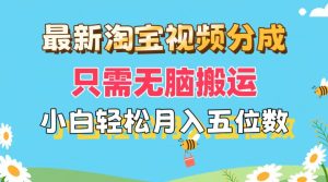 （11744期）最新淘宝视频分成，只需无脑搬运，小白也能轻松月入五位数，可矩阵批量…-琴书聊项目