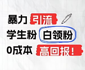 暴力引流学生粉白领粉，吊打以往垃圾玩法，0成本，高回报-琴书聊项目
