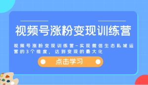 视频号涨粉变现训练营-实现微信生态私域运营的3个维度，达到变现的最大化-琴书聊项目