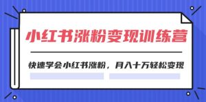 （11762期）2024小红书涨粉变现训练营，快速学会小红书涨粉，月入十万轻松变现(40节)-琴书聊项目
