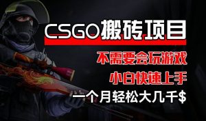 CSGO 装备搬砖项目，操作简单，不需要会玩游戏，小白也能快速上手，一个月轻松大几千【揭秘】-琴书聊项目
