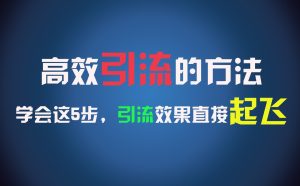 高效引流的方法，可以帮助你日引300+创业粉，一年轻松收入30万，比打工强太多！-琴书聊项目