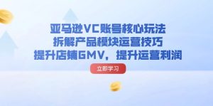 （11848期）亚马逊VC账号核心玩法，拆解产品模块运营技巧，提升店铺GMV，提升运营利润-琴书聊项目