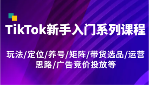 TikTok新手入门系列课程，玩法/定位/养号/矩阵/带货选品/运营思路/广告竞价投放等-琴书聊项目