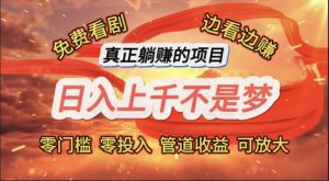 （11866期）免费看剧，边看边赚，日入上千不是梦，一个真正的躺赚项目-琴书聊项目