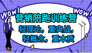 营销陪跑训练营，轻理论，重实战，轻概念，重本质，适合中小企业和初创企业的老板-琴书聊项目