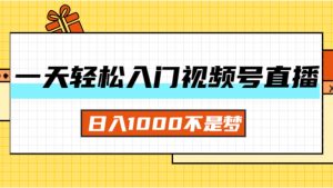 （11906期）一天入门视频号直播带货，日入1000不是梦-琴书聊项目