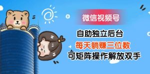 （11910期）微信视频号自助独立后台每天躺赚三位数可矩阵操作解放双手-琴书聊项目