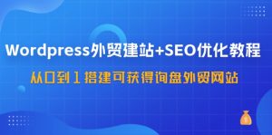 （11911期）WordPress-外贸建站+SEO优化教程：从0到1搭建可获得询盘外贸网站-57节课-琴书聊项目