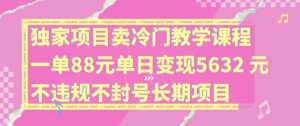 独家项目卖冷门教学课程一单88元单日变现5632元违规不封号长期项目【揭秘】-琴书聊项目