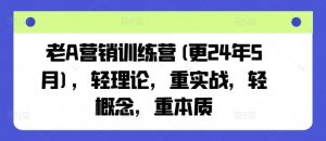 老A营销训练营(更24年7月),轻理论,重实战,轻概念,重本质-琴书聊项目
