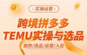 跨境拼多多TEMU实操与选品，多多temu跨境选品运营实操-琴书聊项目