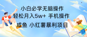 全网首发2024最暴利手机操作项目，简单无脑操作，每单利润最少500+-琴书聊项目