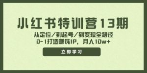 小红书特训营13期，从定位/到起号/到变现全路径，0-1打造赚钱IP，月入10w+-琴书聊项目