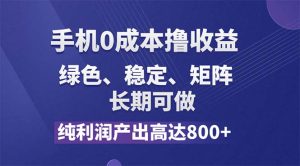 （11976期）纯利润高达800+，手机0成本撸羊毛，项目纯绿色，可稳定长期操作！-琴书聊项目
