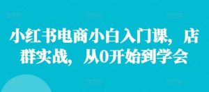 小红书电商小白入门课,店群实战,从0开始到学会-琴书聊项目