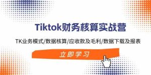 Tiktok财务核算实战营：TK业务模式/数据核算/应收款及毛利/数据下载及报表-琴书聊项目