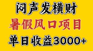 30天赚了7.5W 暑假风口项目，比较好学，2天左右上手-琴书聊项目