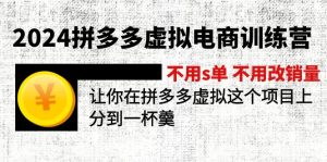 （12024期）2024拼多多虚拟电商训练营 不s单 不改销量  做虚拟项目分一杯羹(更新10节)-琴书聊项目
