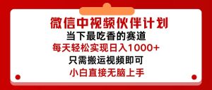 （12017期）微信中视频伙伴计划，仅靠搬运就能轻松实现日入500+，关键操作还简单，…-琴书聊项目