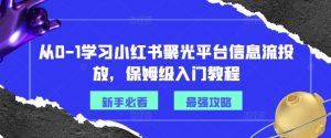从0-1学习小红书聚光平台信息流投放，保姆级入门教程-琴书聊项目