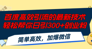（12064期）百度高效引流的最新技术,轻松帮你日引300+创业粉,简单高效，加爆微信-琴书聊项目