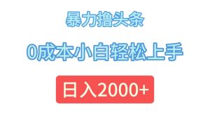 （12068期）暴力撸头条，0成本小白轻松上手，日入2000+-琴书聊项目