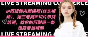 IP剪辑师内部课程(挂车视频)，张兰电商IP切片带货培训，教你如何制造一条爆款带货视频-琴书聊项目