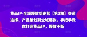 货品IP全域爆款陪跑营【第3期】赛道选择、产品策划到全域爆款，手把手教你打造货品IP，爆款不断-琴书聊项目
